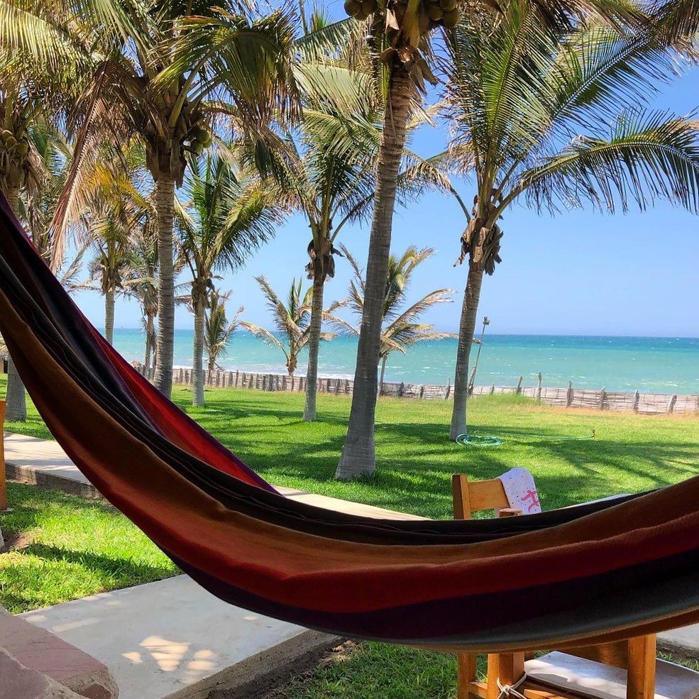 Hammock